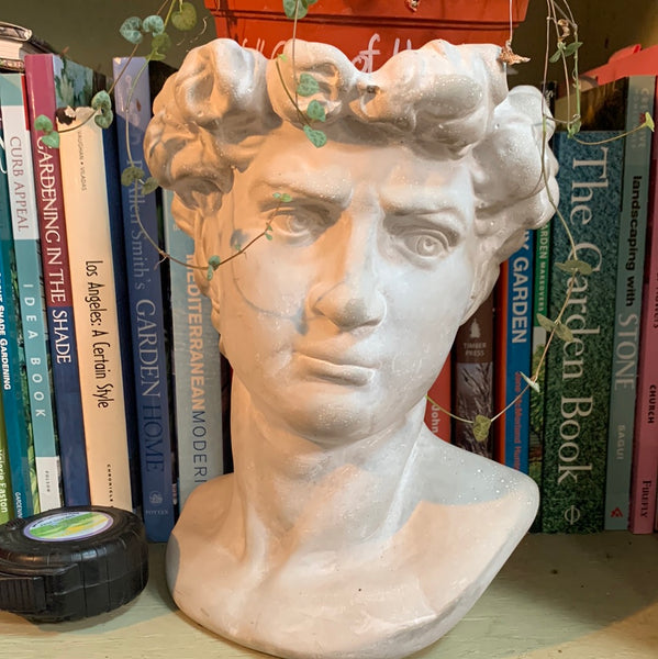Larger Head Bust Planters