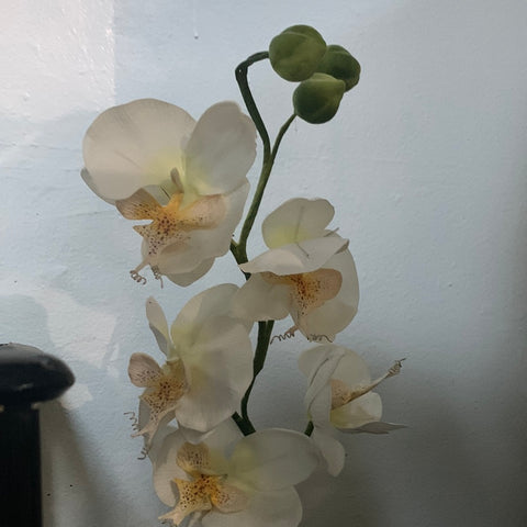Fake White Orchid in Pot