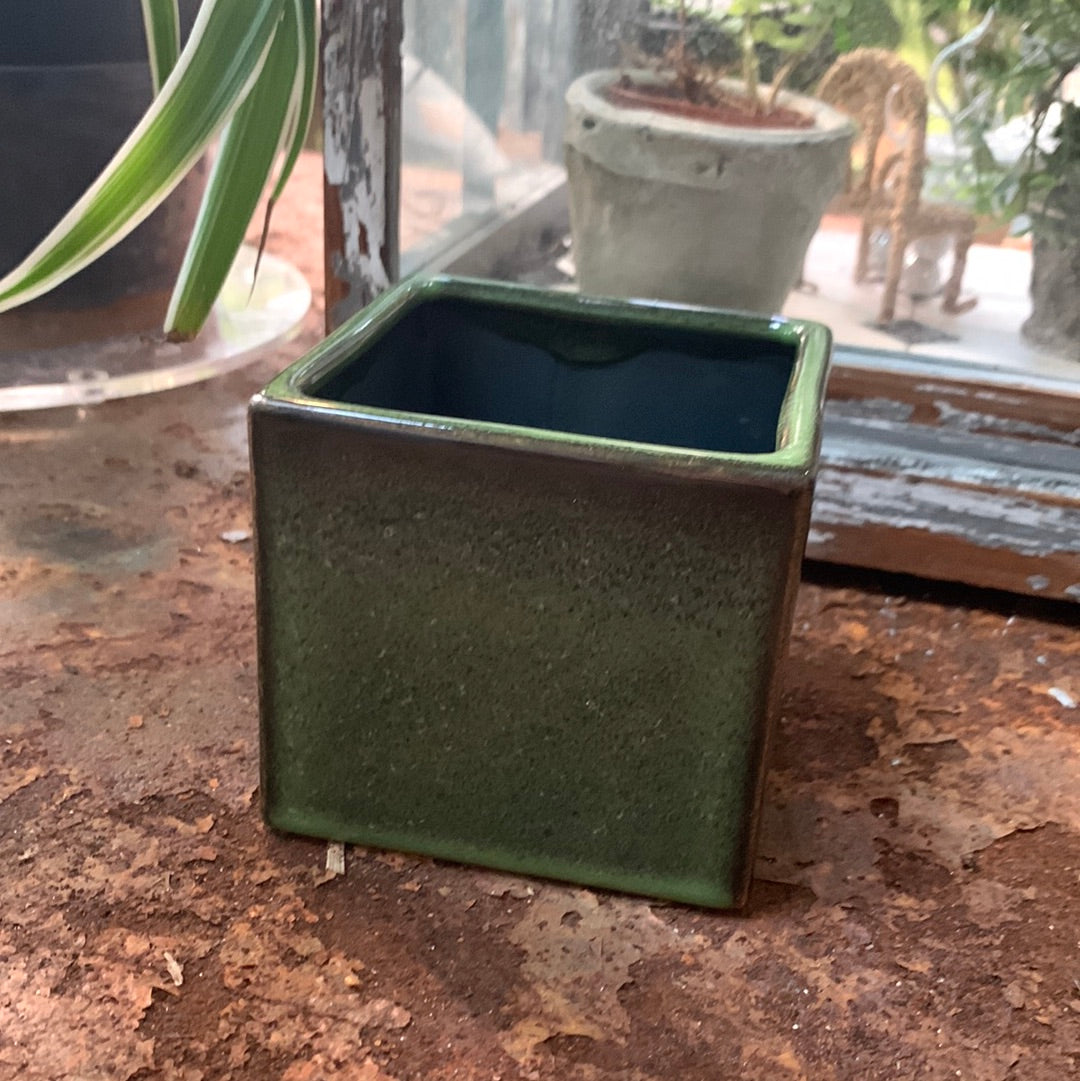 Mini Green Square Pot