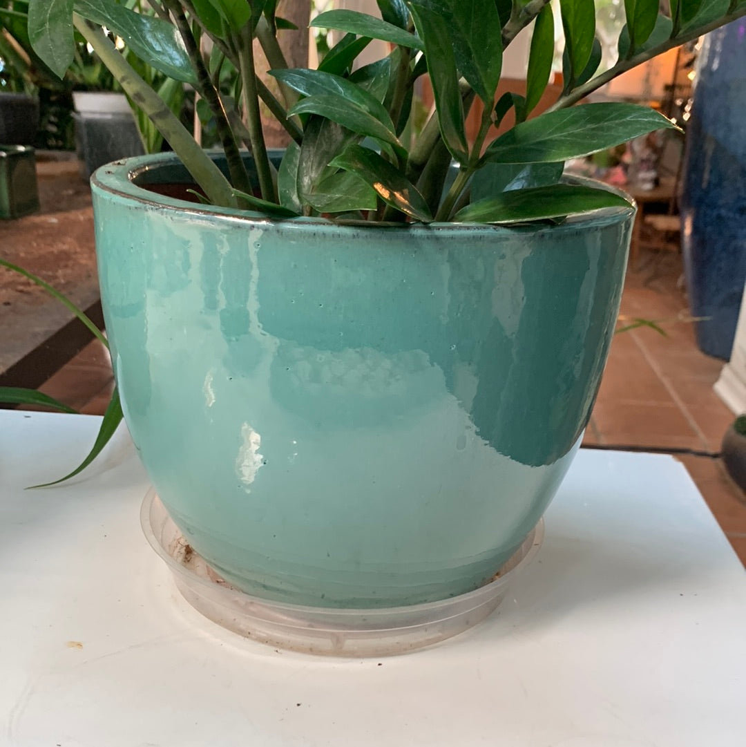 Turquoise Aqua Pot