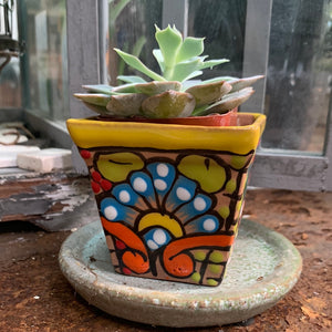 Mexican Style 2” pot
